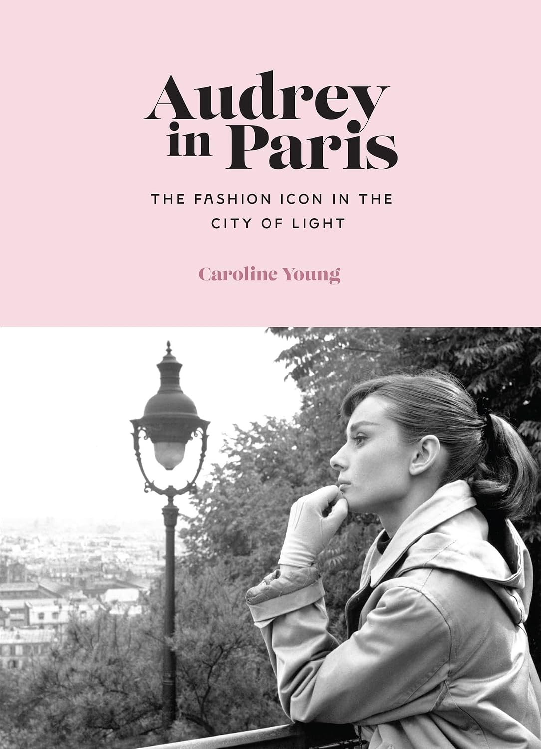 capítulo por capítulo baixar Audrey in Paris (English Edition)