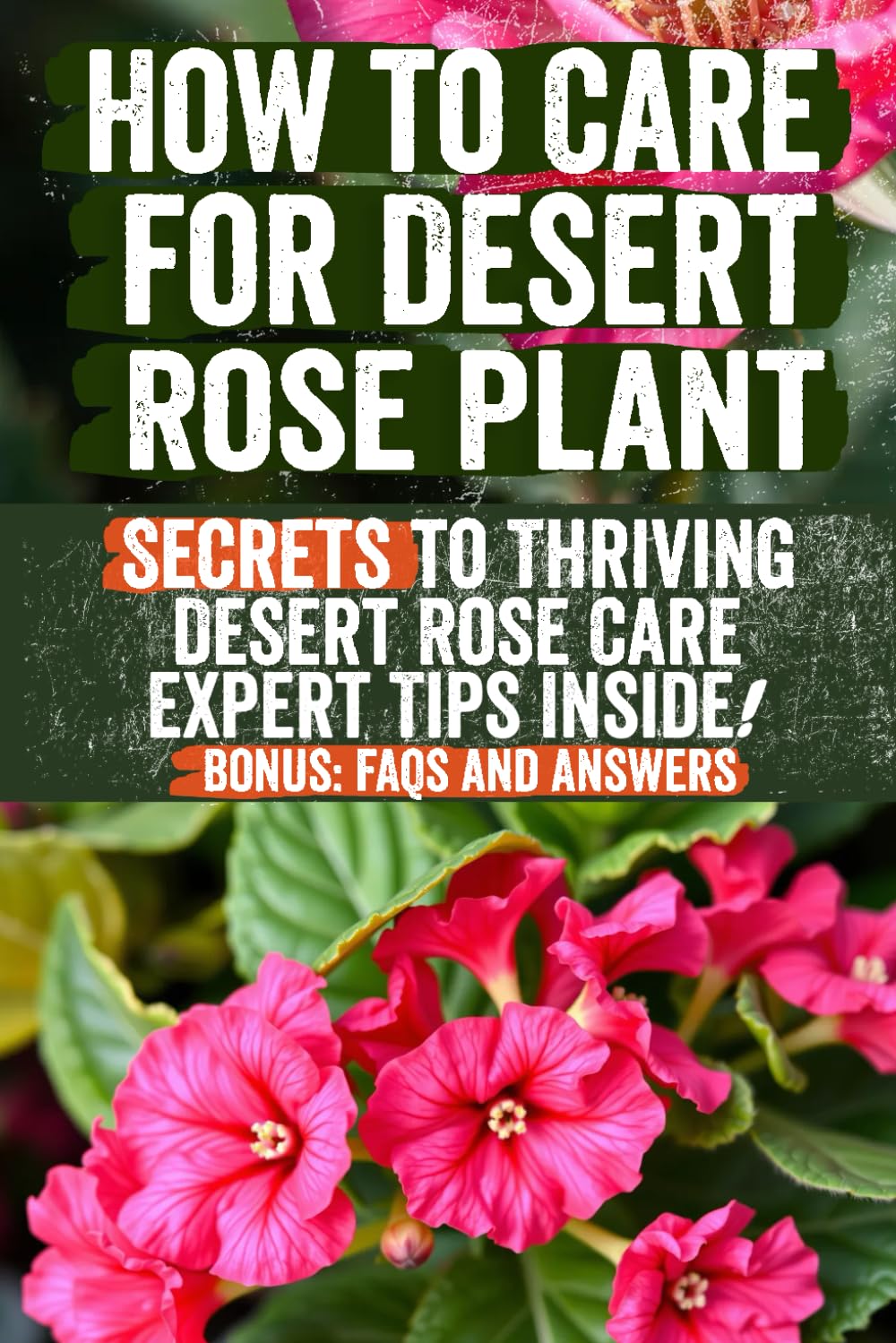 How to Care for Desert Rose Plant: Comprehensive Guide for Growing, Potting, Watering, Pruning, and Flowering Adenium Obesum – Perfect for Indoor and Outdoor Gardening Enthusiasts baixar livro de graça