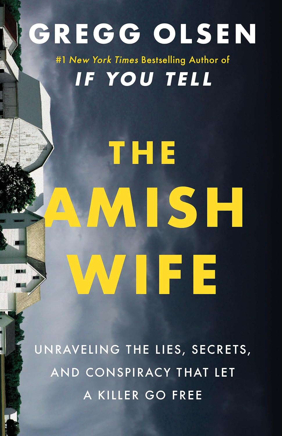 The Amish Wife: Unraveling the Lies, Secrets, and Conspiracy That Let a Killer Go Free (English Edition) baixar o livro de graça