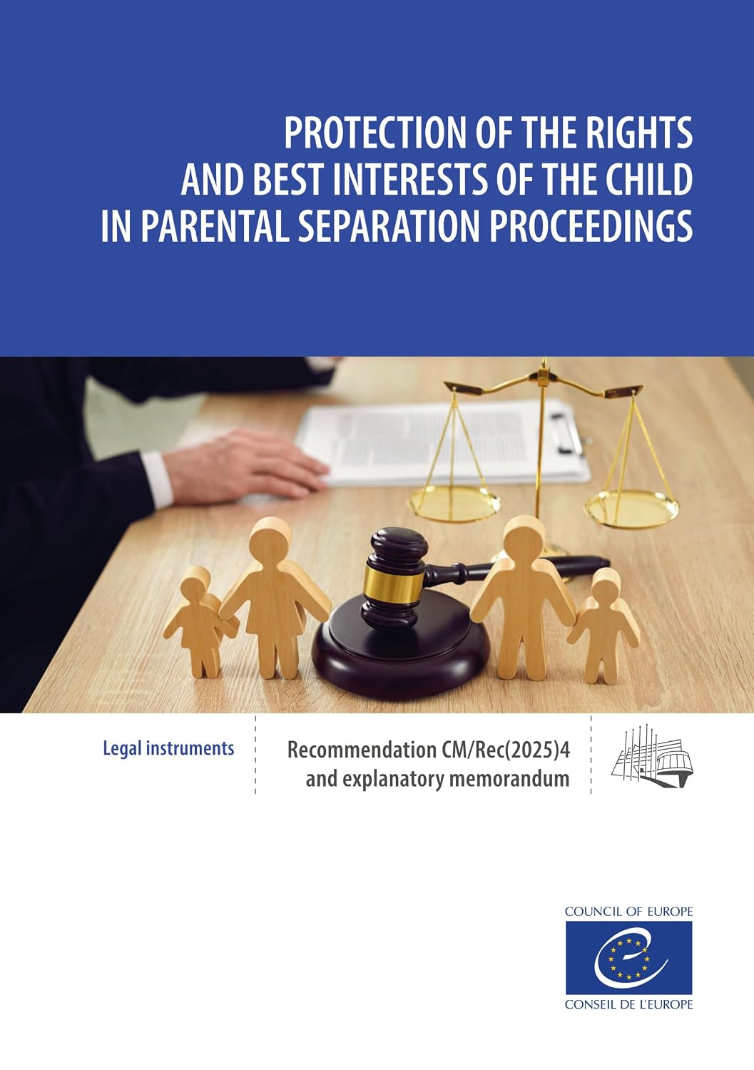 ler totalmente Protection of the rights and best interests of the child in parental separation proceedings: Recommendation CM/Rec(2025)4 and explanatory memorandum (English Edition)
