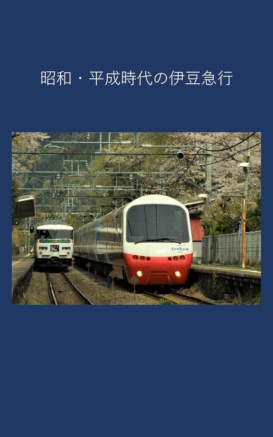 capítulo por capítulo baixar Izukyu Railway in the Showa and Heisei eras (Japanese Edition)