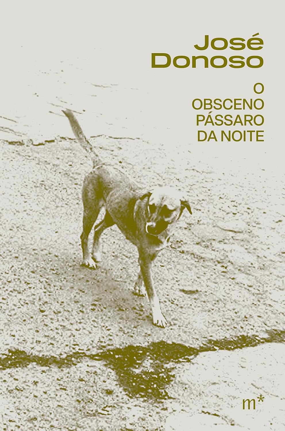 capítulo por capítulo baixar O obsceno pássaro da noite