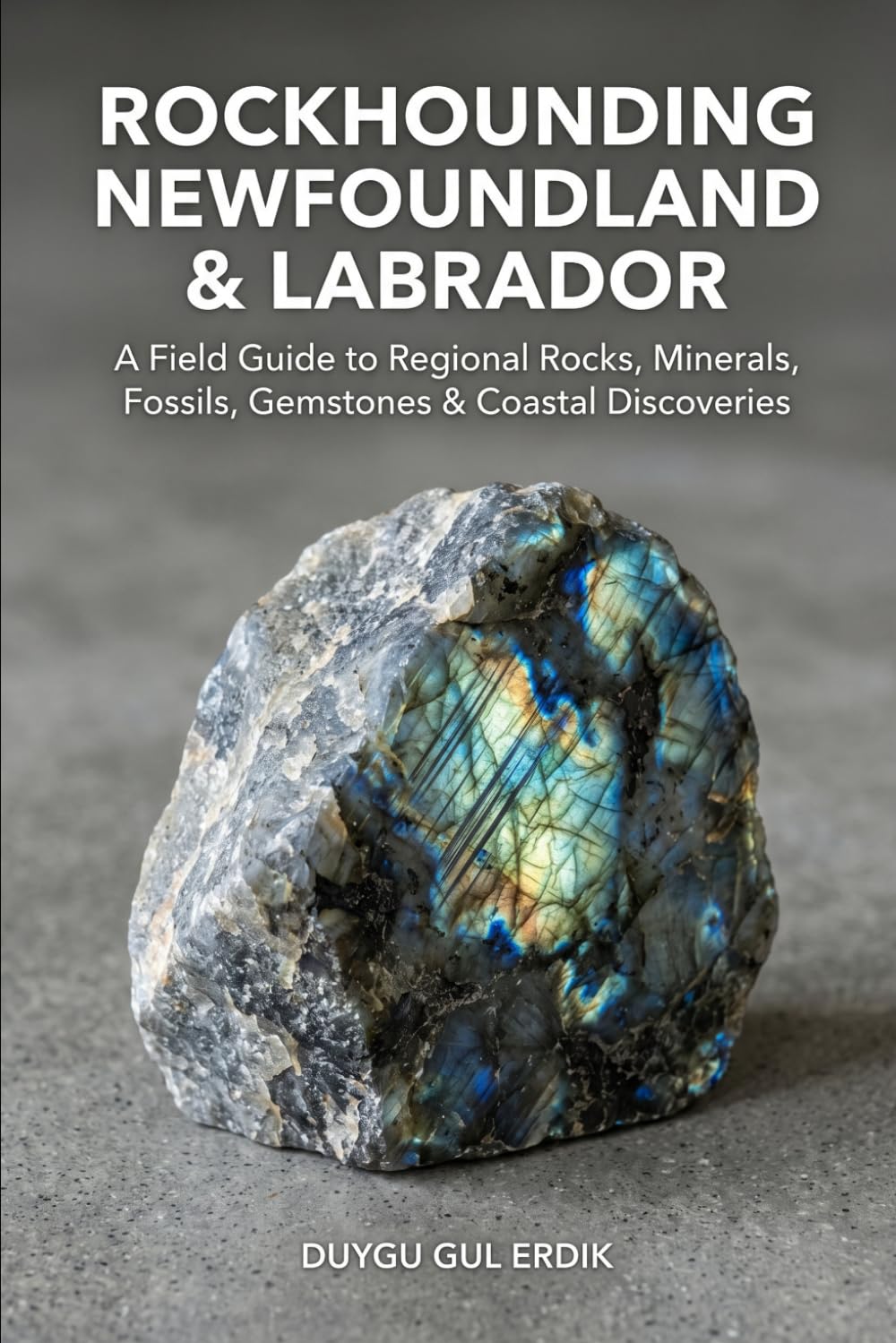 ROCKHOUNDING NEWFOUNDLAND & LABRADOR: A Field Guide to Regional Rocks, Minerals, Fossils, Gemstones & Coastal Discoveries (The Regional Rockhounding & Mineral Discovery Series) baixar o livro de graça