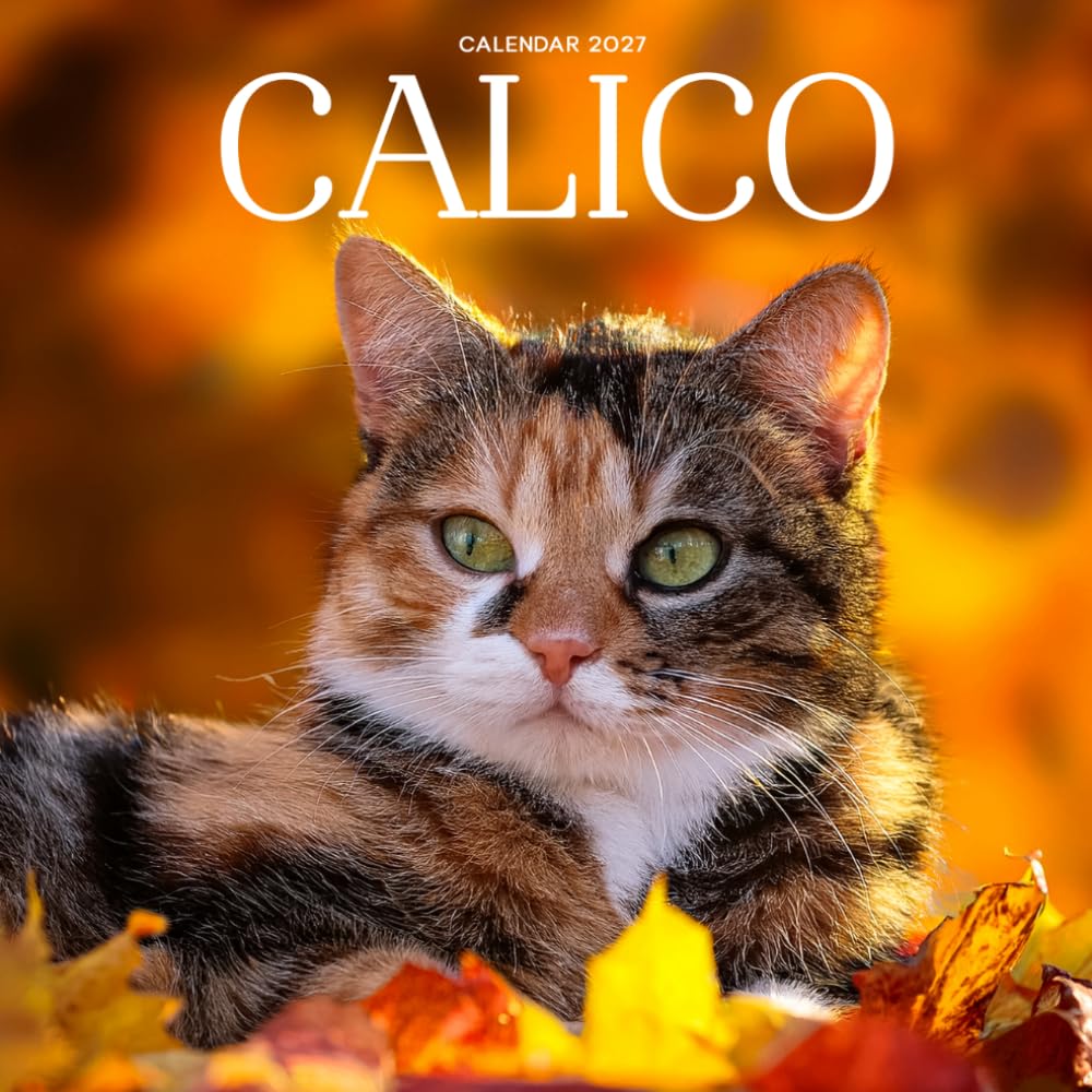 Calico Cat Calendar 2027: Cat Portraits and Colorful Coats baixar livro de graça