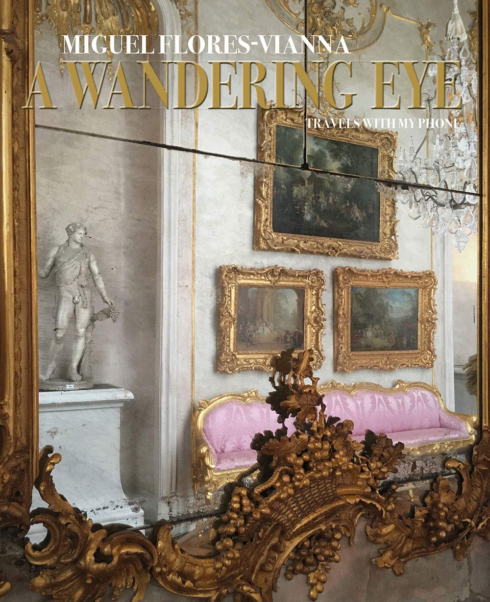 ler totalmente A Wandering Eye: Travels with My Phone