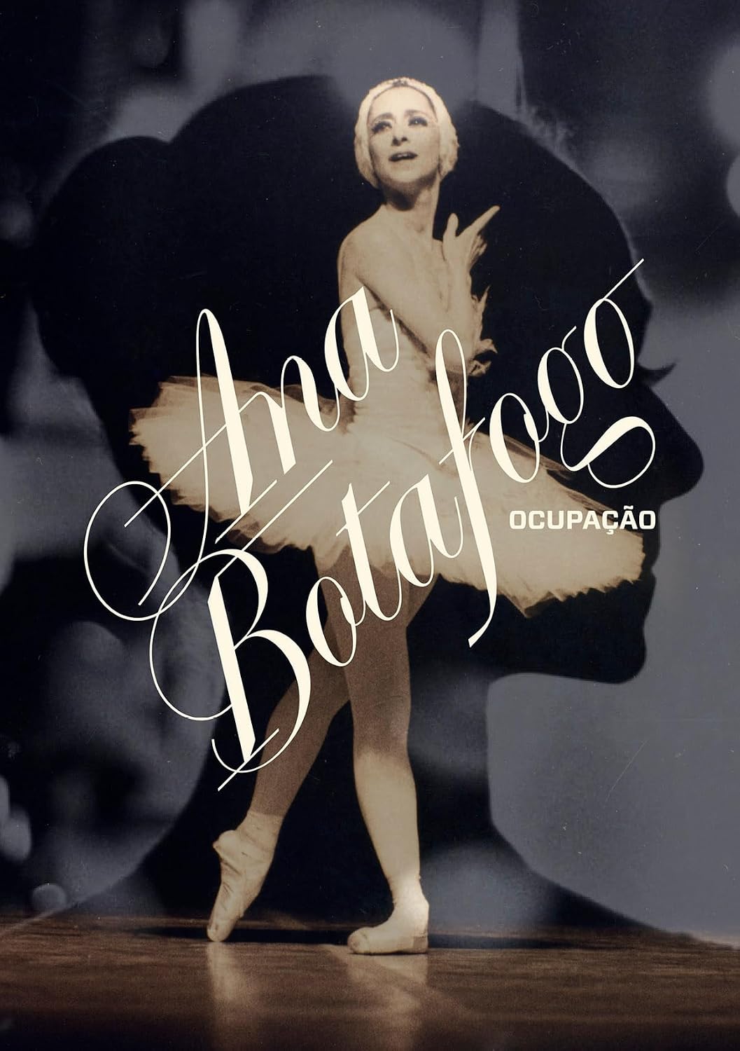 Ocupação Ana Botafogo baixar livro de graça