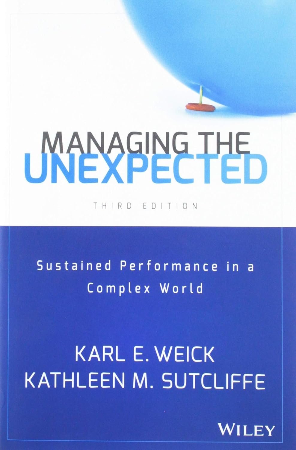 Managing the Unexpected: Sustained Performance in a Complex World baixar livro de graça