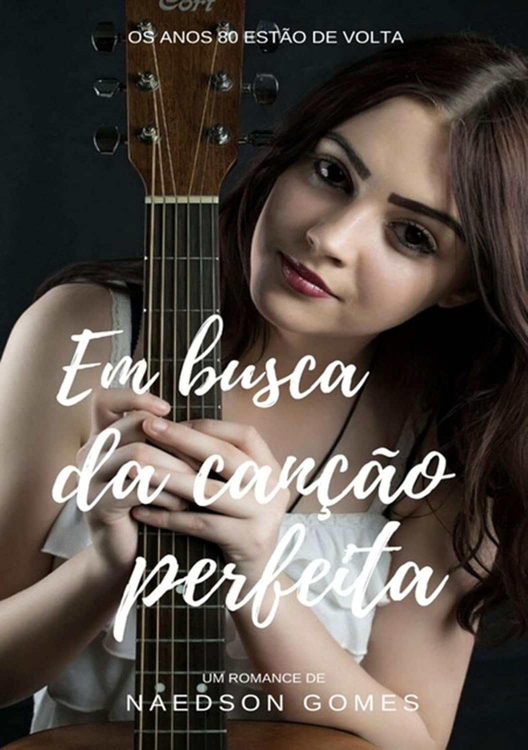 Em Busca Da Canção Perfeita baixar livro de graça