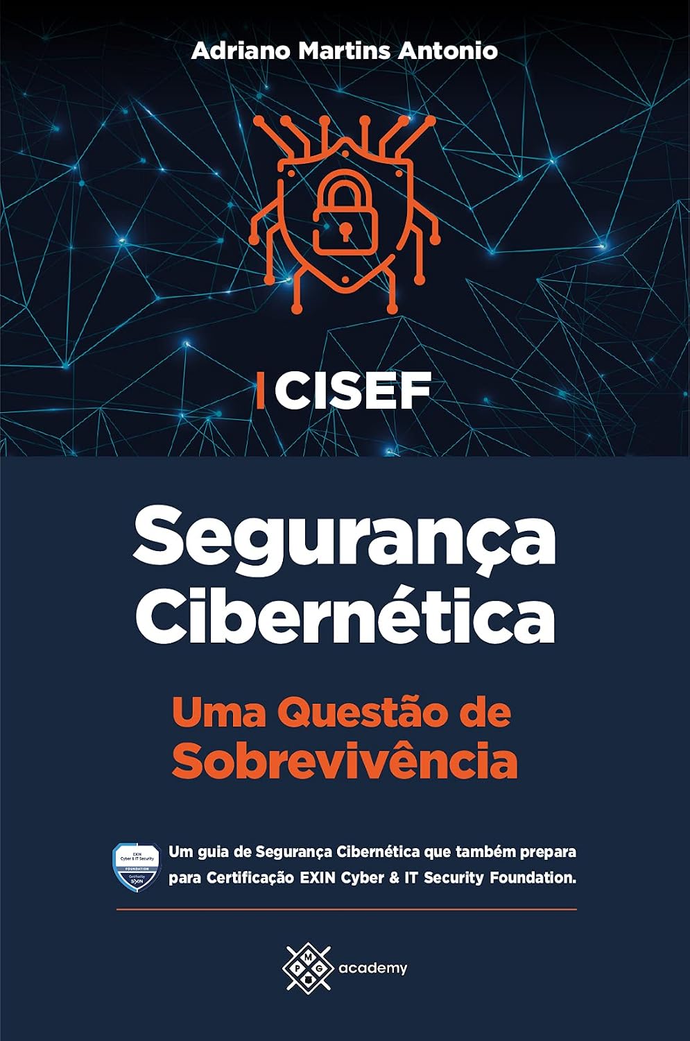 CISEF - Segurança Cibernética: Uma Questão de Sobrevivência (Preparação para Exames de Certificação) baixar livro de graça