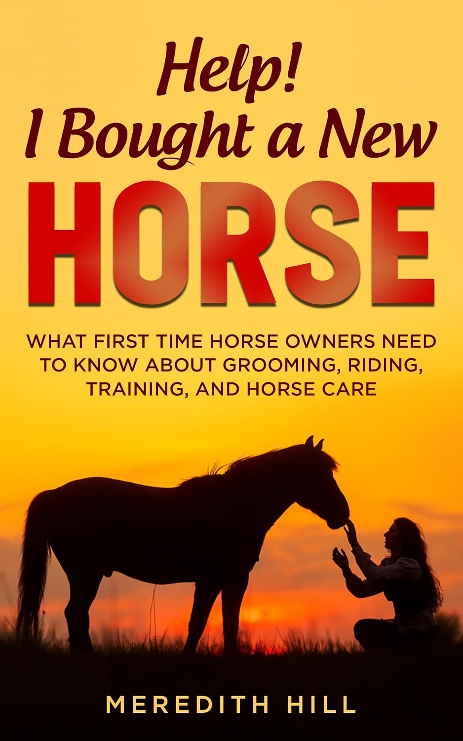 Help! I Bought a New Horse: What First Time Horse Owners Need to Know About Grooming, Riding, Training, and Horse Care (English Edition) baixar livro de graça