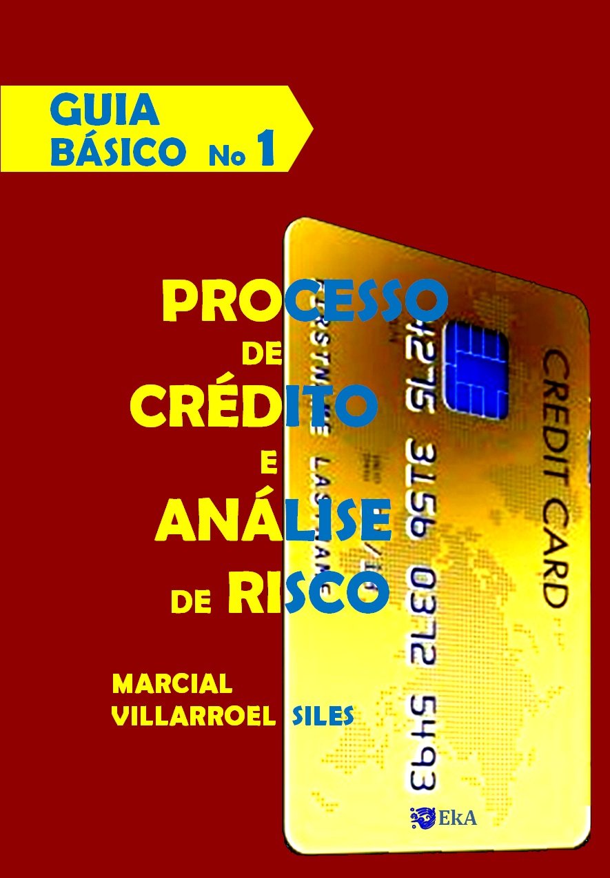 GUIA BÁSICO Processo de Crédito e Análise de Risco (Análise do risco de crédito Livro 1) baixar o livro de graça