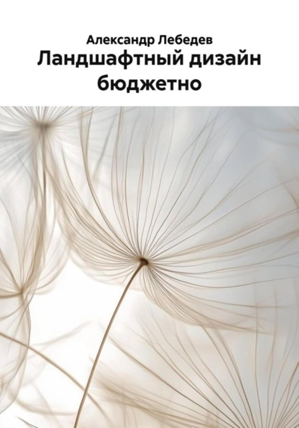 Ландшафтный дизайн бюджетно (Russian Edition) baixar o livro de graça