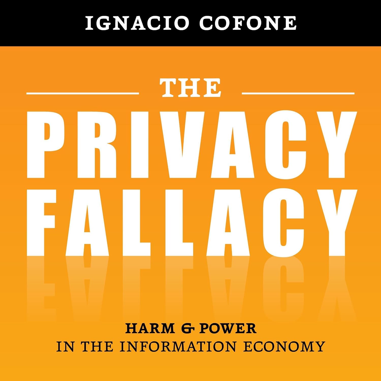 The Privacy Fallacy: Harm and Power in the Information Economy baixar livro de graça