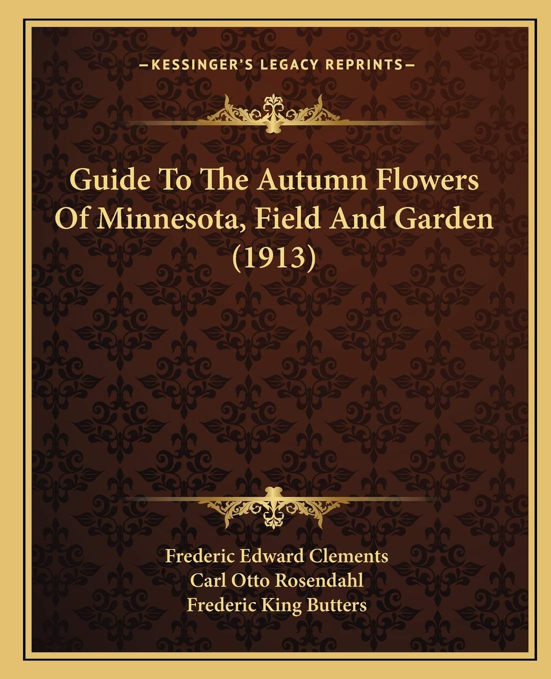 Guide To The Autumn Flowers Of Minnesota, Field And Garden (1913) baixar o livro de graça