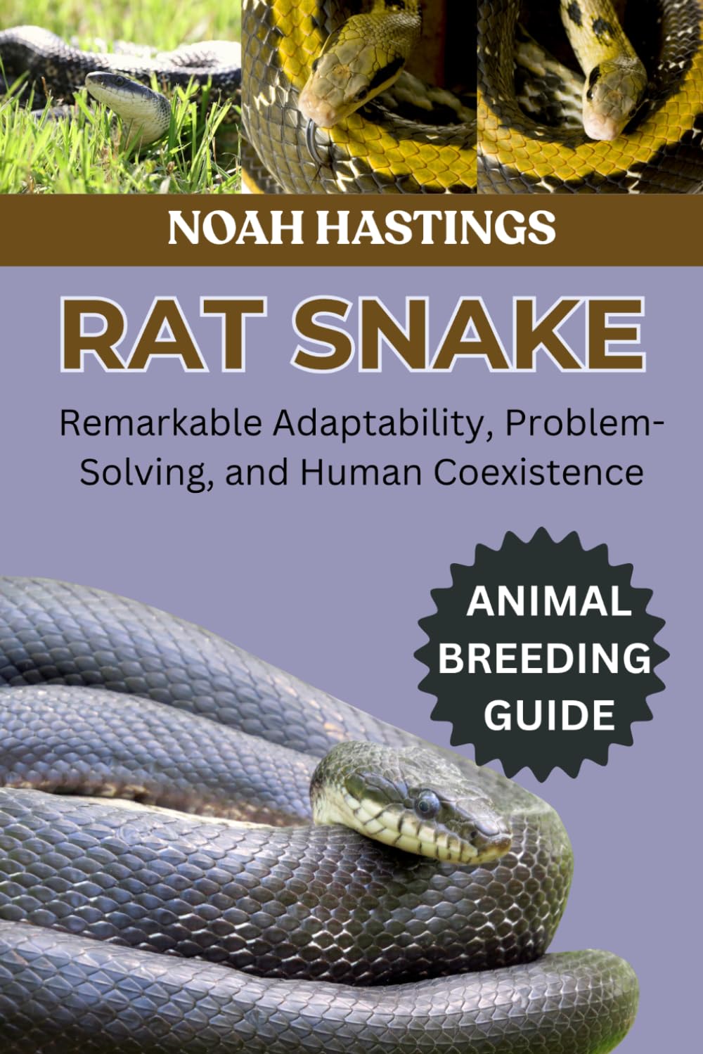 ler totalmente Rat Snake: Remarkable Adaptability, Problem-Solving, and Human Coexistence