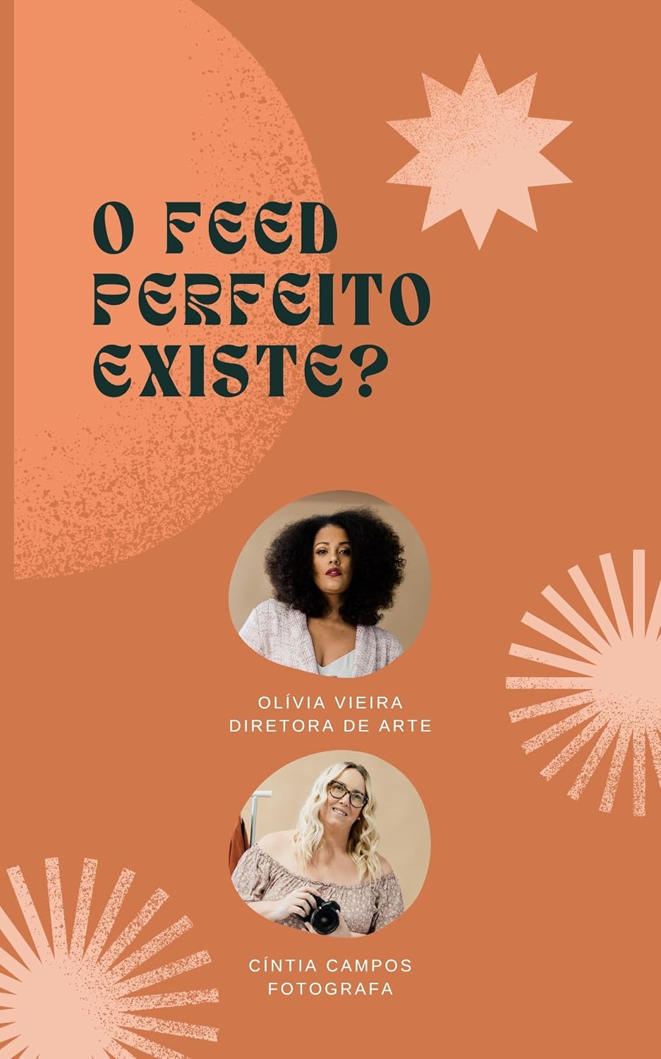 O Feed Perfeito Não Existe baixar o livro de graça