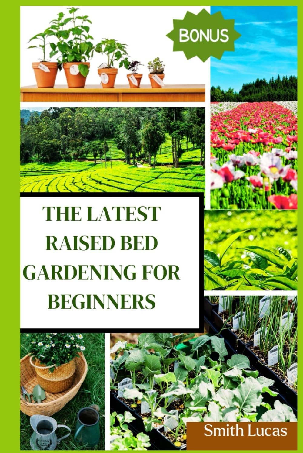 THE LATEST RAISED BED GARDENING FOR BEGINNERS: The Practical Tips and Tricks to Grow Organic Vegetables, Plants, And Cut Flowers in A Limited Space. baixar livro de graça