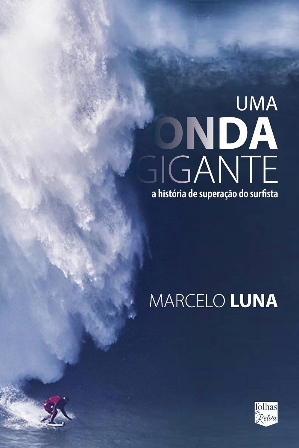 Uma onda gigante: a história de superação do surfista Marcelo Luna baixar o livro de graça