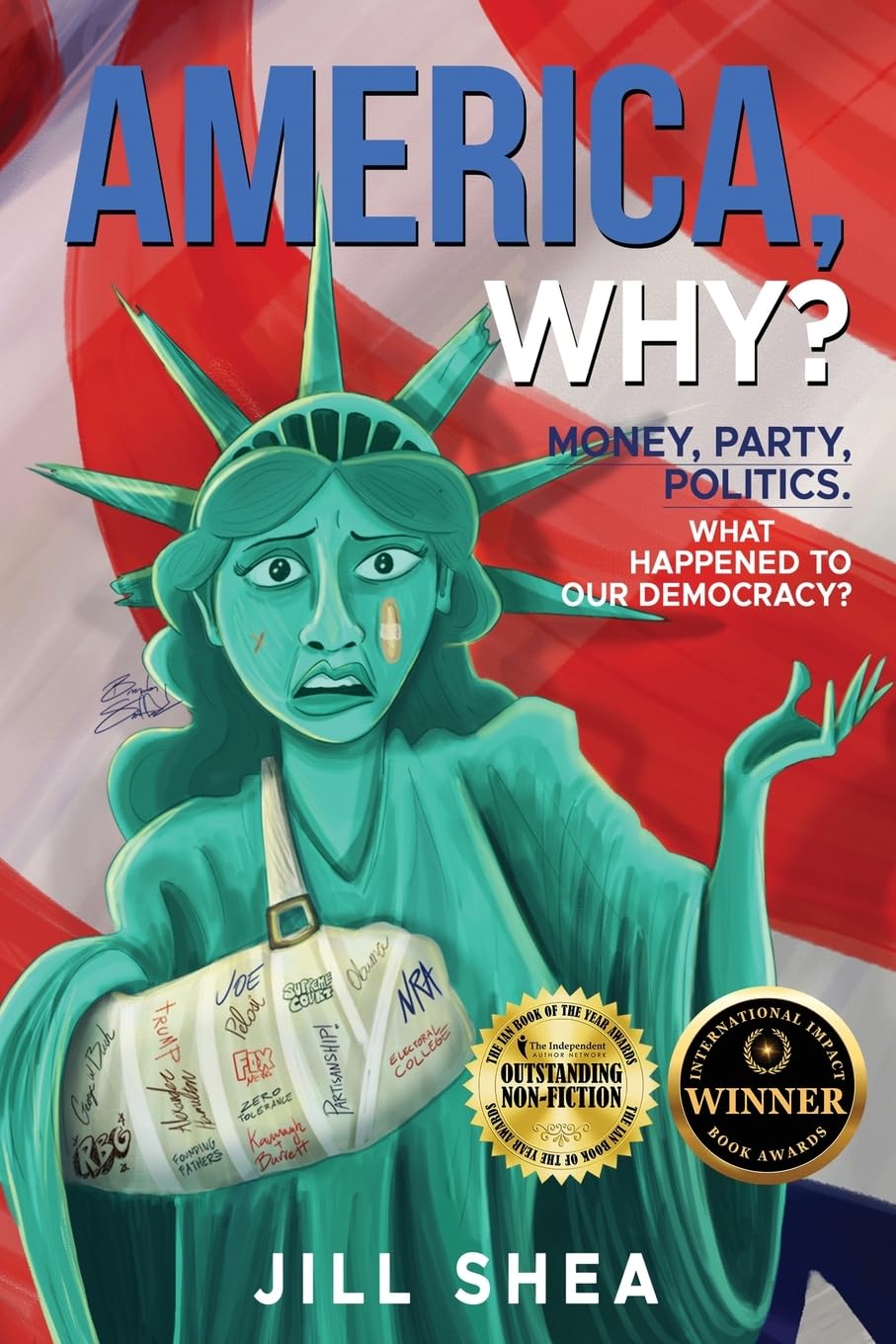 America, Why?: Money. Party. Politics. What Happened to Our Democracy? baixar o livro de graça