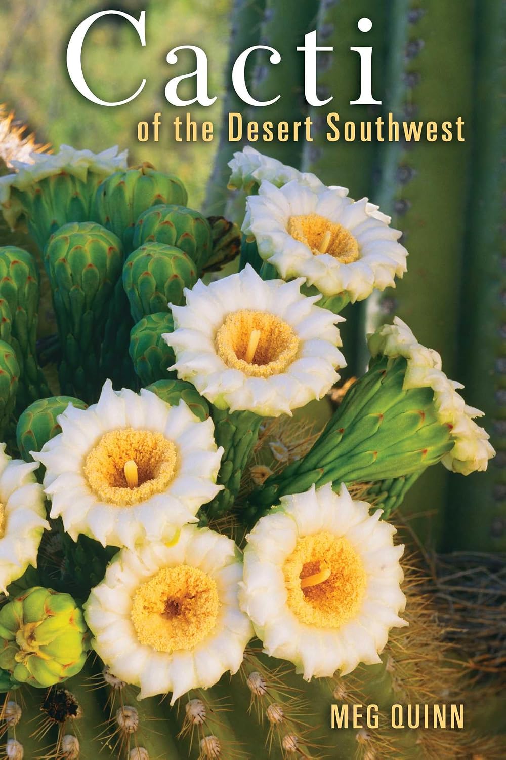 capítulo por capítulo baixar Cacti of the Desert SW (English Edition)