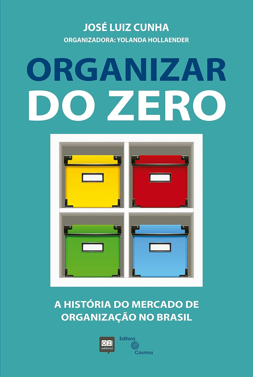 Organizar do zero: A história do mercado de organização no Brasil baixar livro de graça