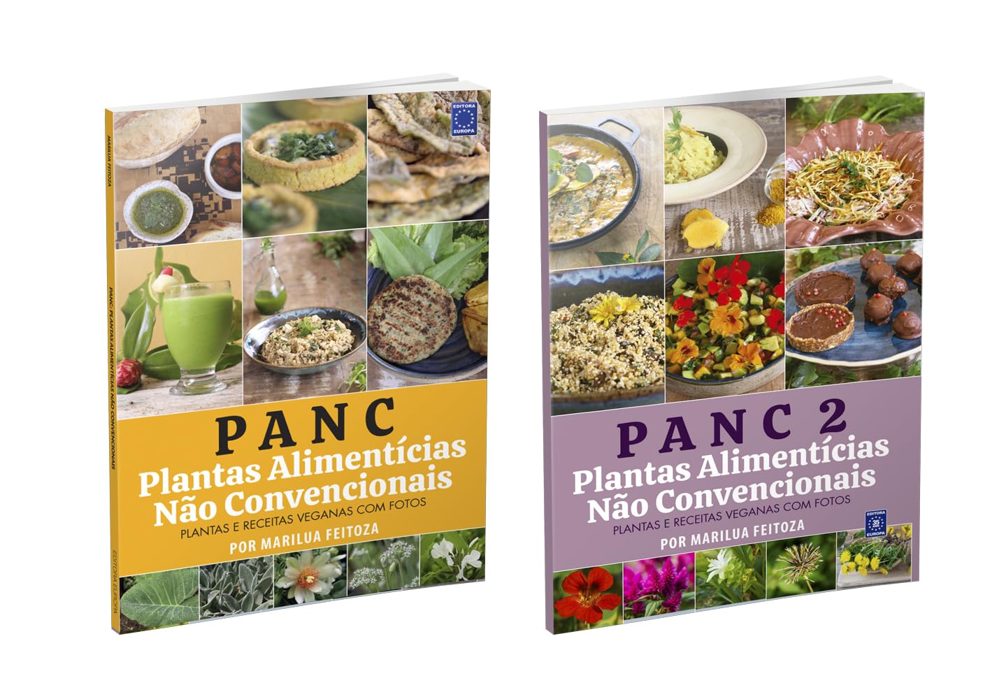 PANC - Plantas Alimentícias Não Convencionais - 2 volumes baixar livro de graça