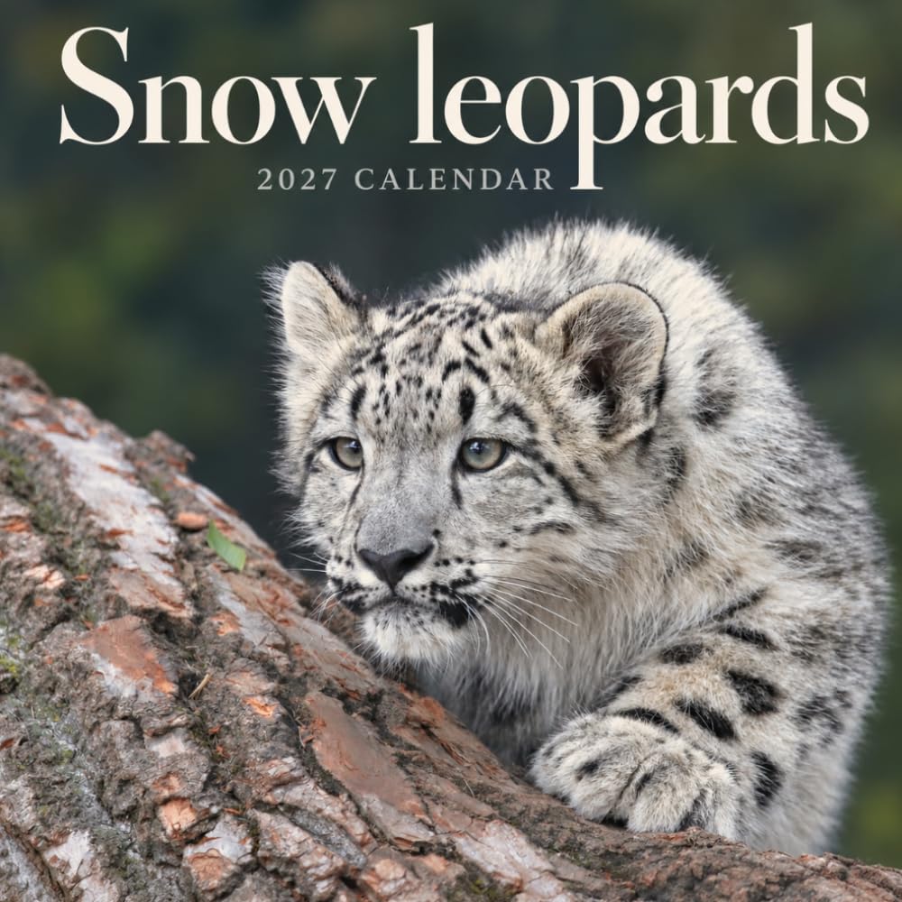 capítulo por capítulo baixar Snow Leopards Calendar 2027: Mountain Cat Wildlife Photography
