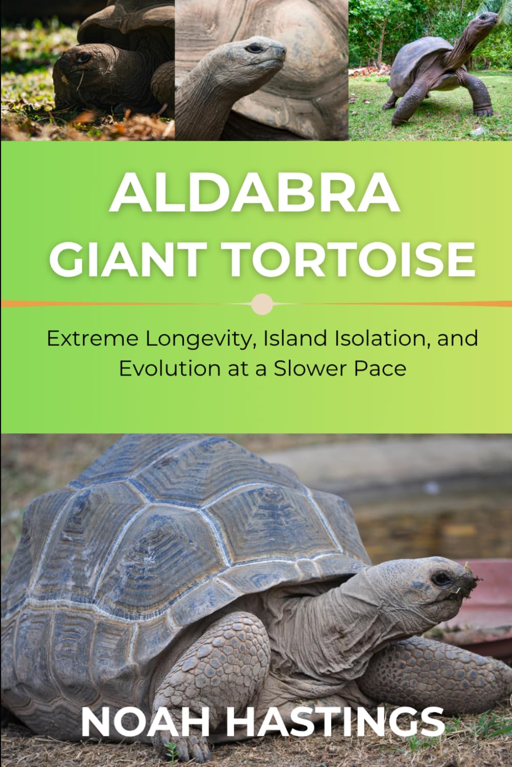 capítulo por capítulo baixar ALDABRA GIANT TORTOISE: Extreme Longevity, Island Isolation, and Evolution at a Slower Pace