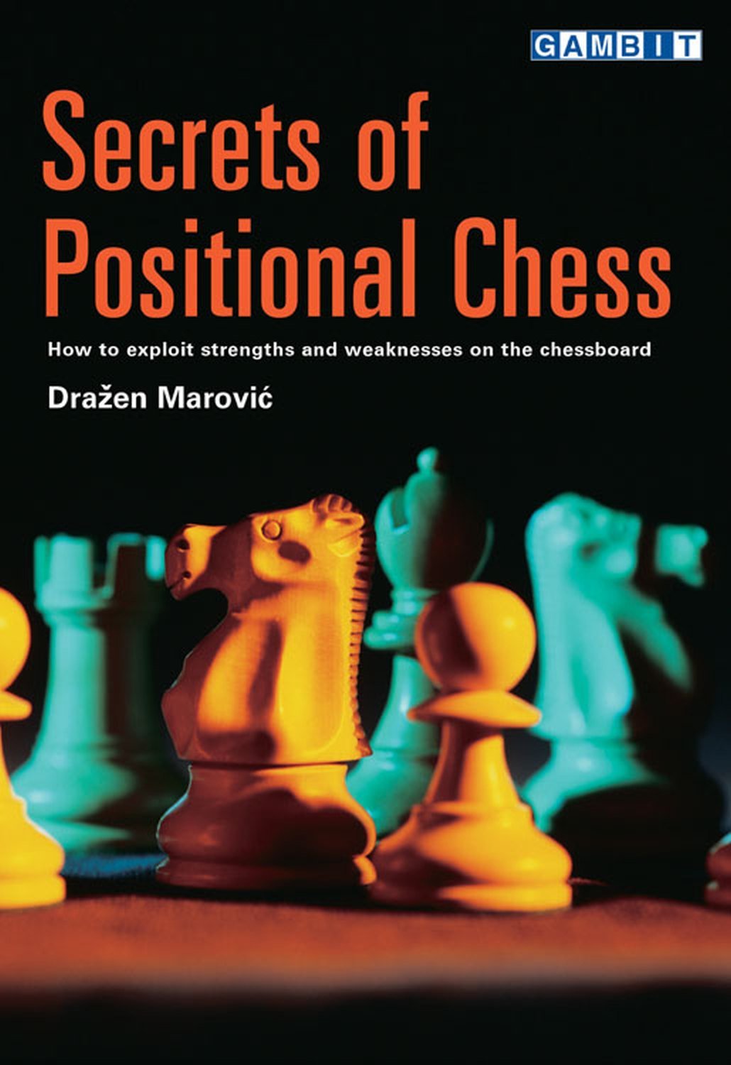 Secrets of Positional Chess (English Edition) baixar livro de graça