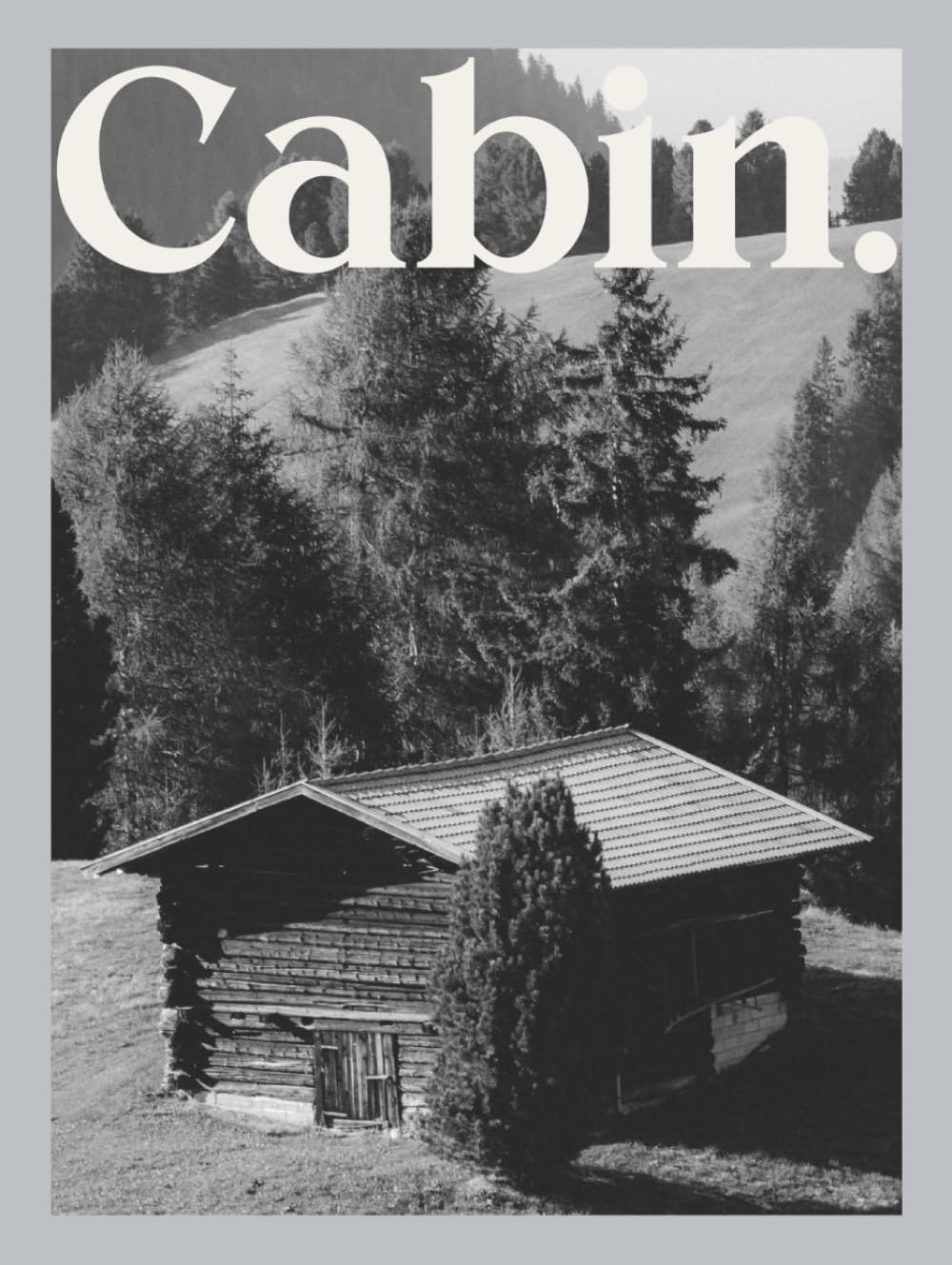 Cabin: Cozy Winter Coffee Table Book for Home Decor | Frost Covered Mountain Photography baixar o livro de graça