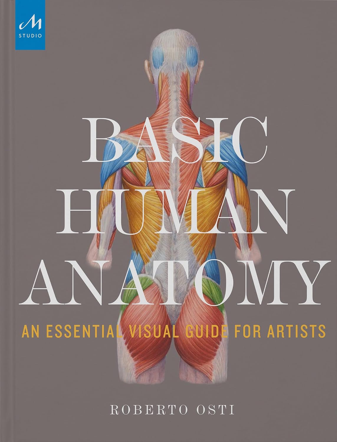 ler totalmente Basic Human Anatomy: An Essential Visual Guide for Artists