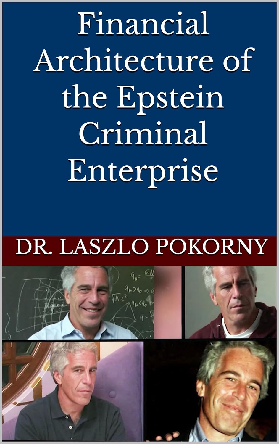 ler totalmente Financial Architecture of the Epstein Criminal Enterprise (English Edition)