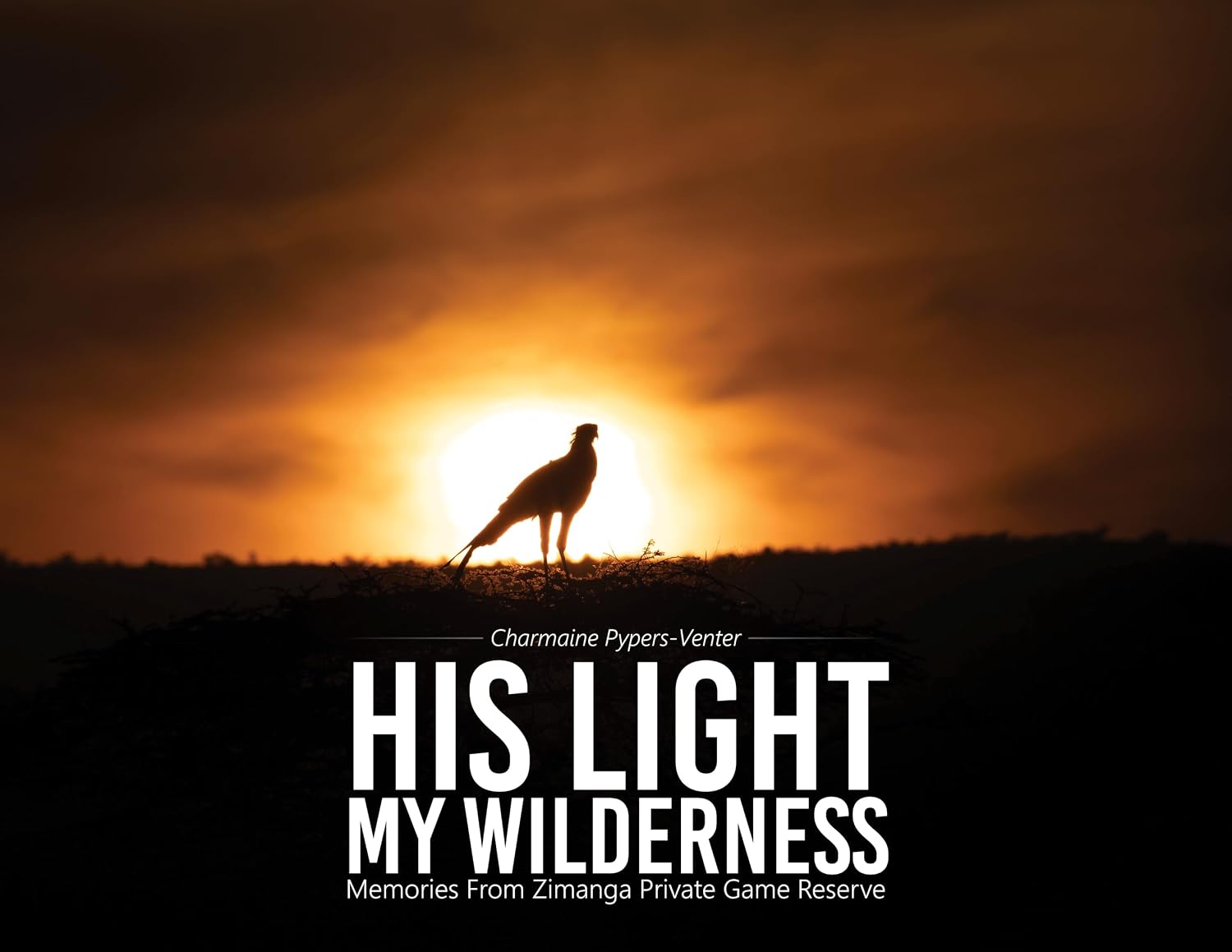 ler totalmente His Light - My Wilderness: Memories from Zimanga Private Game Reserve (English Edition)