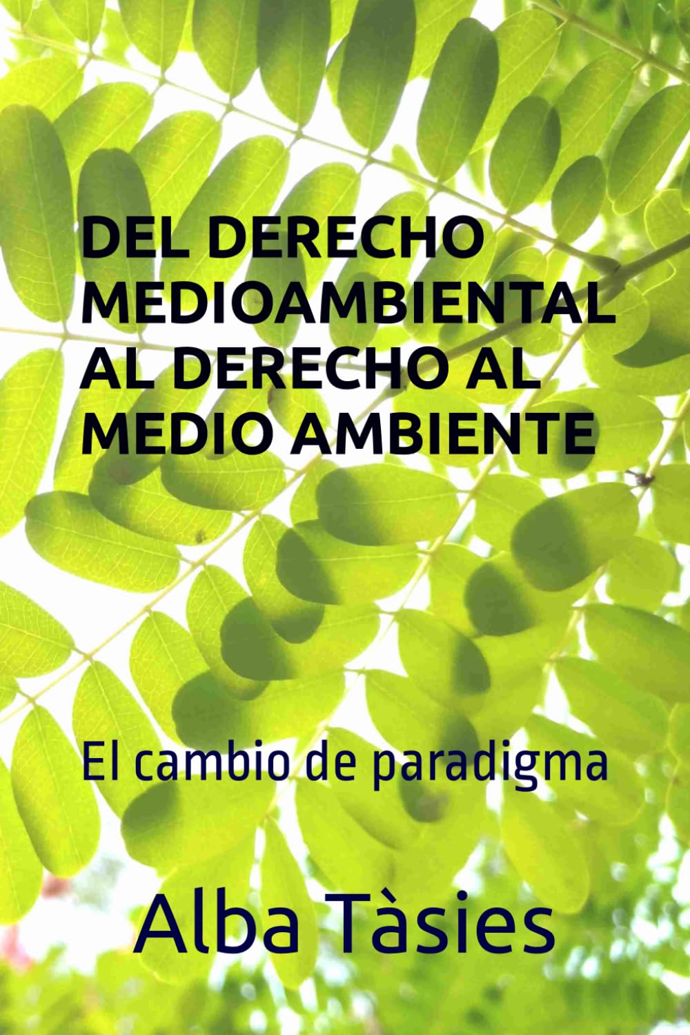 DEL DERECHO MEDIOAMBIENTAL AL DERECHO AL MEDIO AMBIENTE: El cambio de paradigma (Spanish Edition) baixar livro de graça