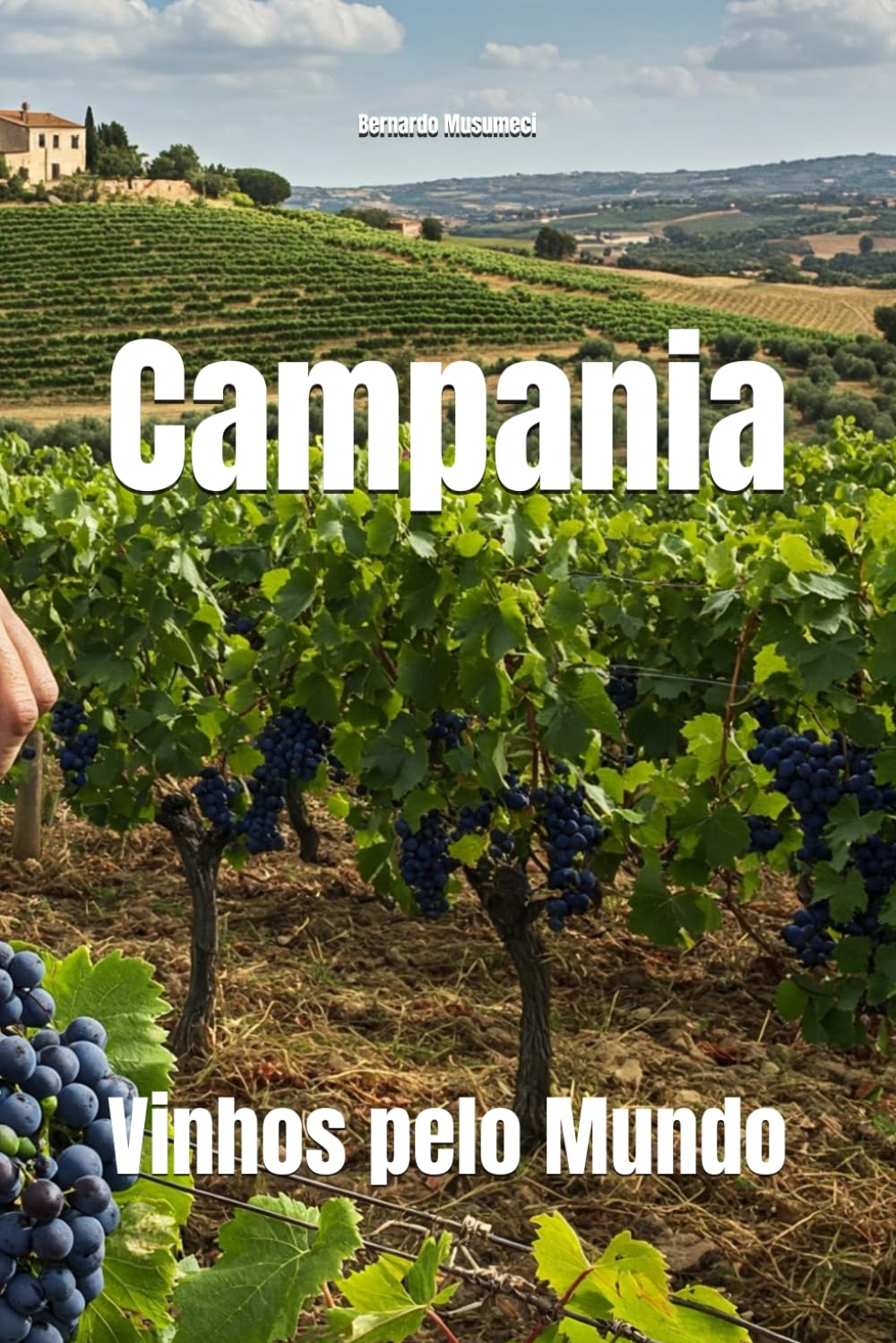 Campania: Vinhos pelo Mundo