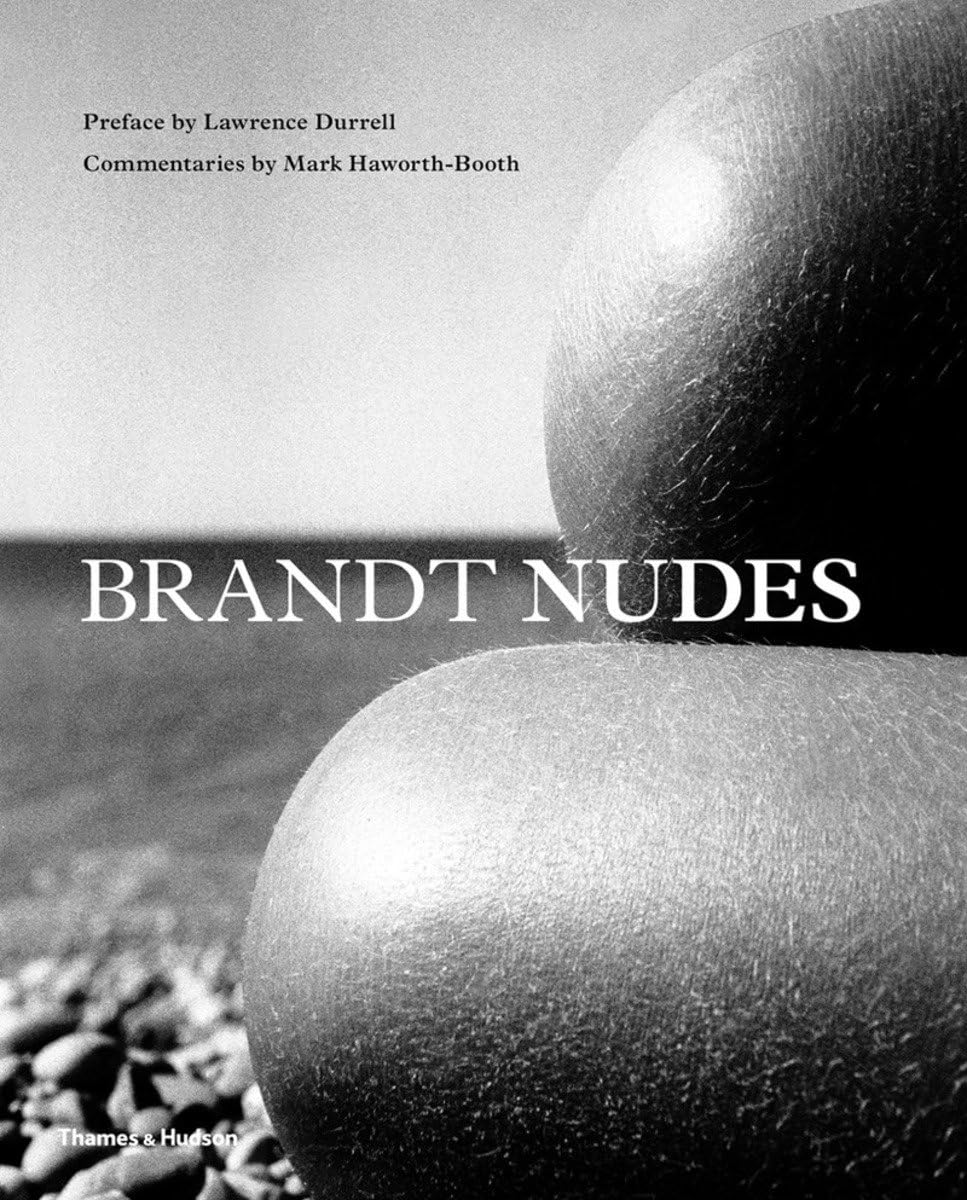 Brandt Nudes: A New Perspective baixar o livro de graça