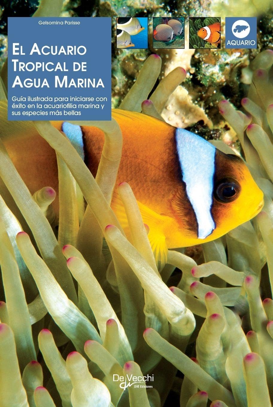 El acuario tropical de agua marina: Guía ilustrada para iniciarse con éxito en la acuariofilia marina y sus especies más bellas baixar o livro de graça