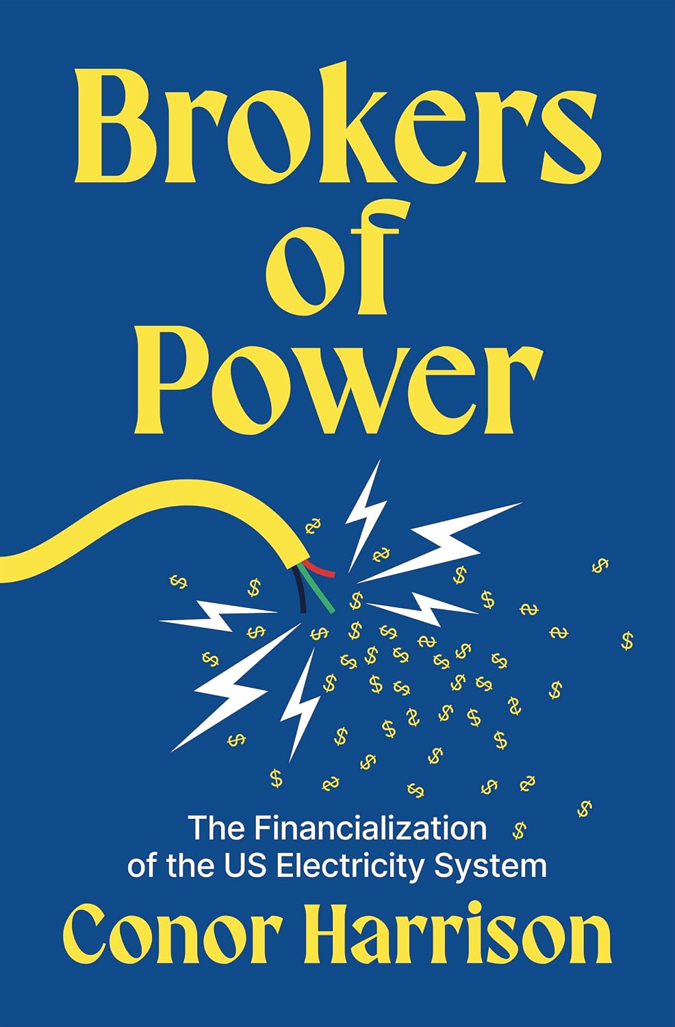 Brokers of Power: The Financialization of the US Electricity System (English Edition) baixar o livro de graça
