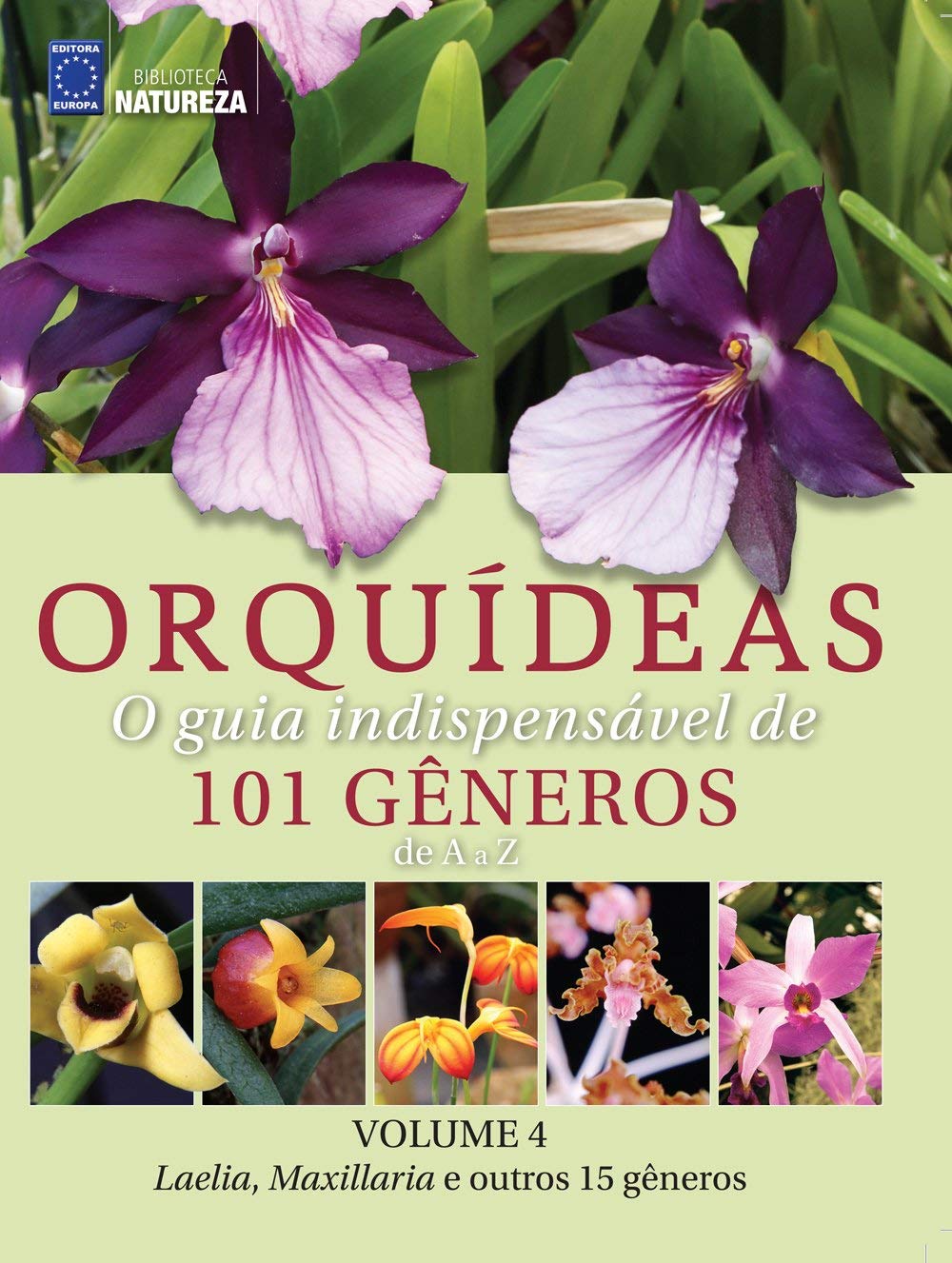 Orquídeas: O Guia Indispensável de 101 gêneros de A a Z - Volume 4: Laelia, Maxillaria e outros 15 gêneros