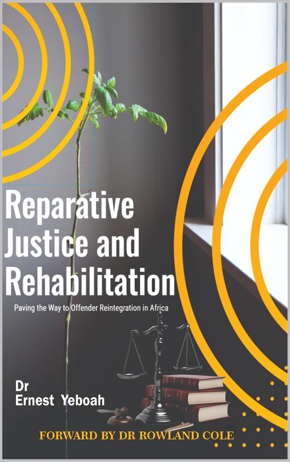 ler totalmente REPARATIVE JUSTICE AND REHABILITATION: Paving the Way to Offender Reintegration in África (English Edition)