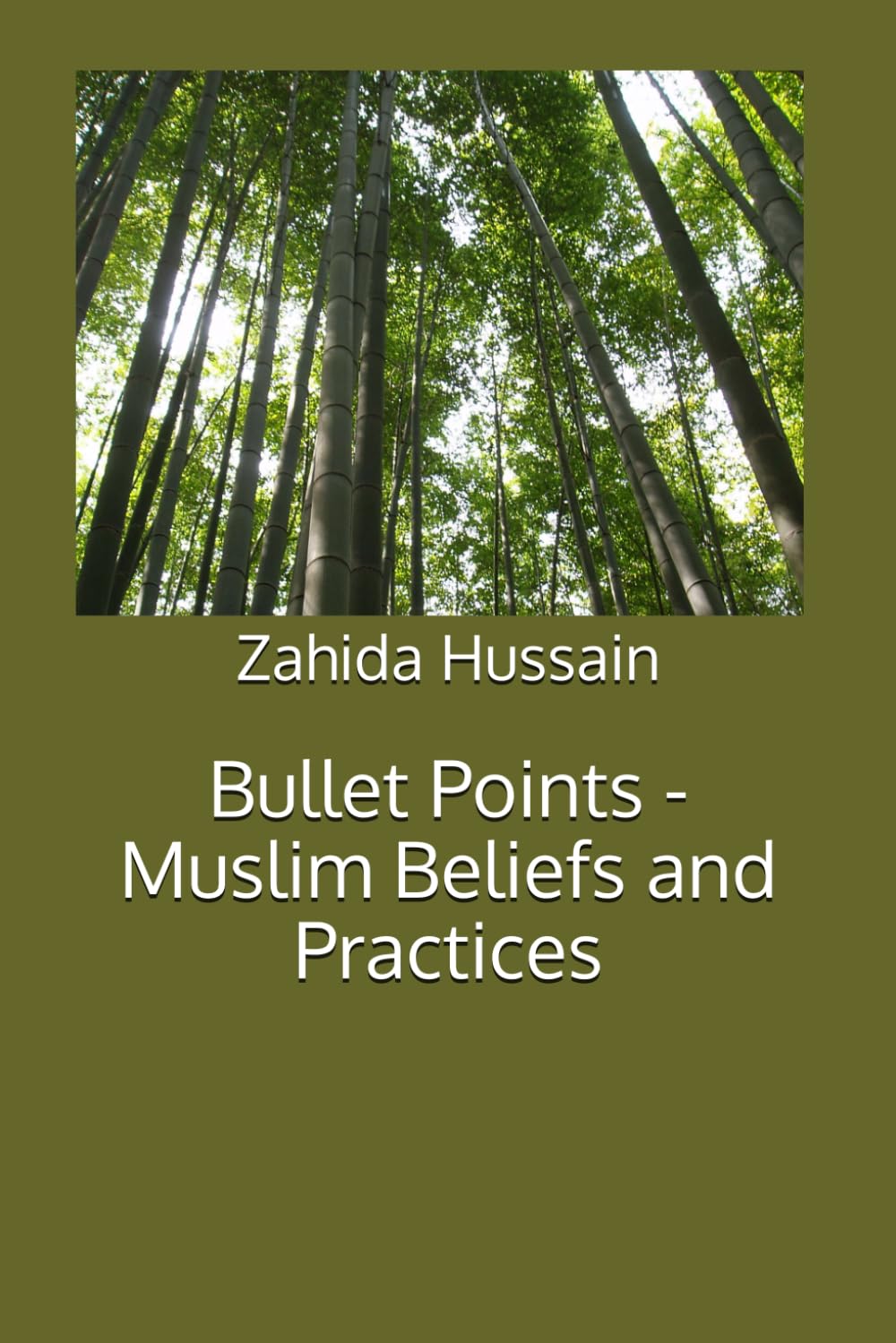 Bullet Points - Muslim Beliefs and Practices baixar livro de graça