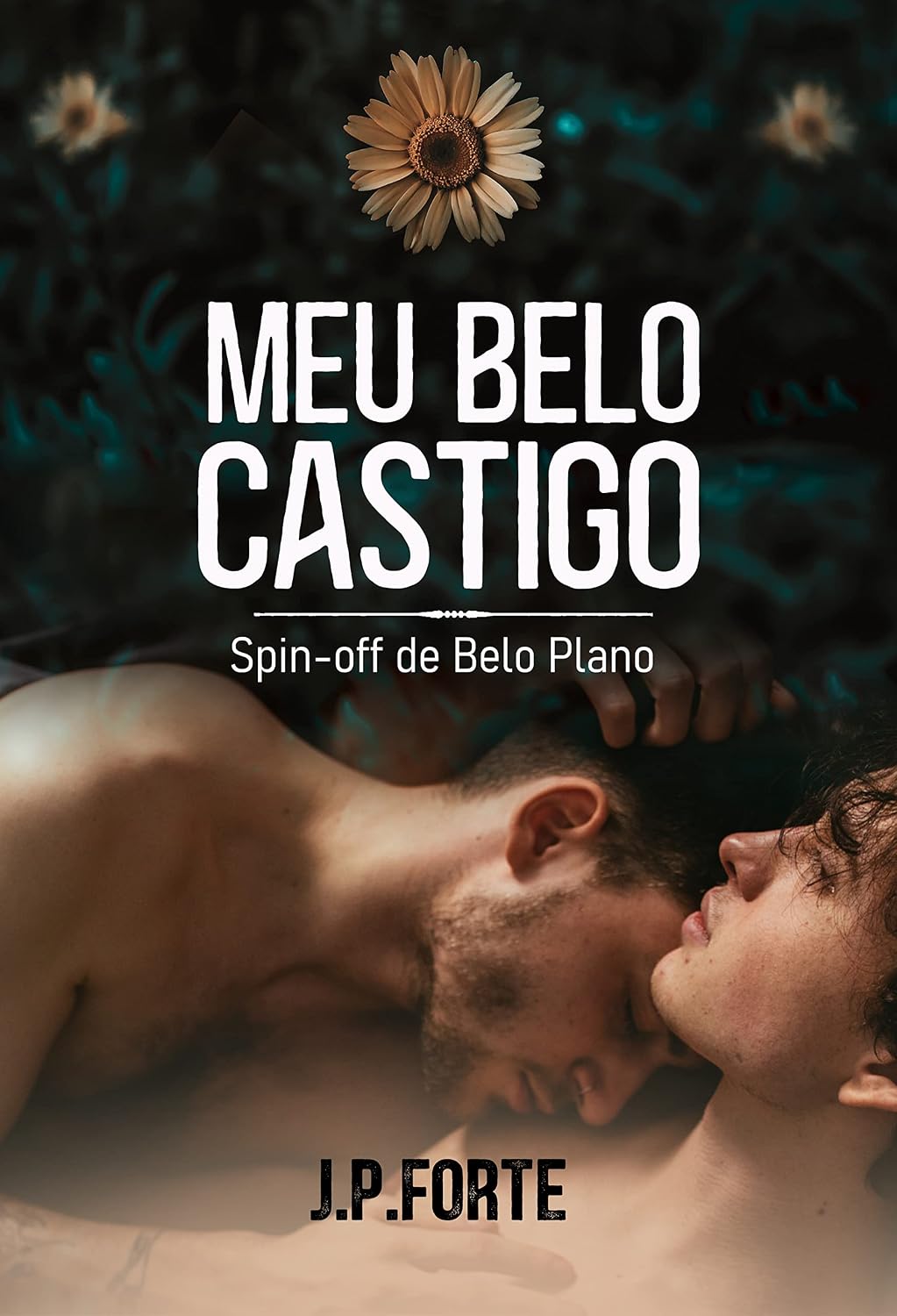 Meu Belo Castigo: Spin off de "Belo Plano" (Duologia Liam e Oliver) baixar o livro de graça