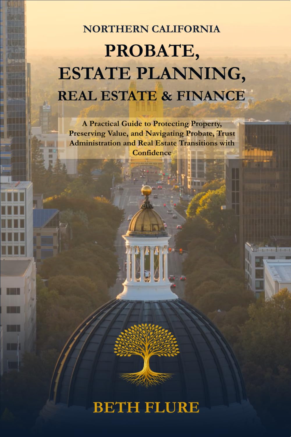 Northern California Probate, Estate Planning, Real Estate & Finance: A Practical Guide to Protecting Property, Preserving Value, and Navigating... and Real Estate Transitions with Confidence baixar livro de graça
