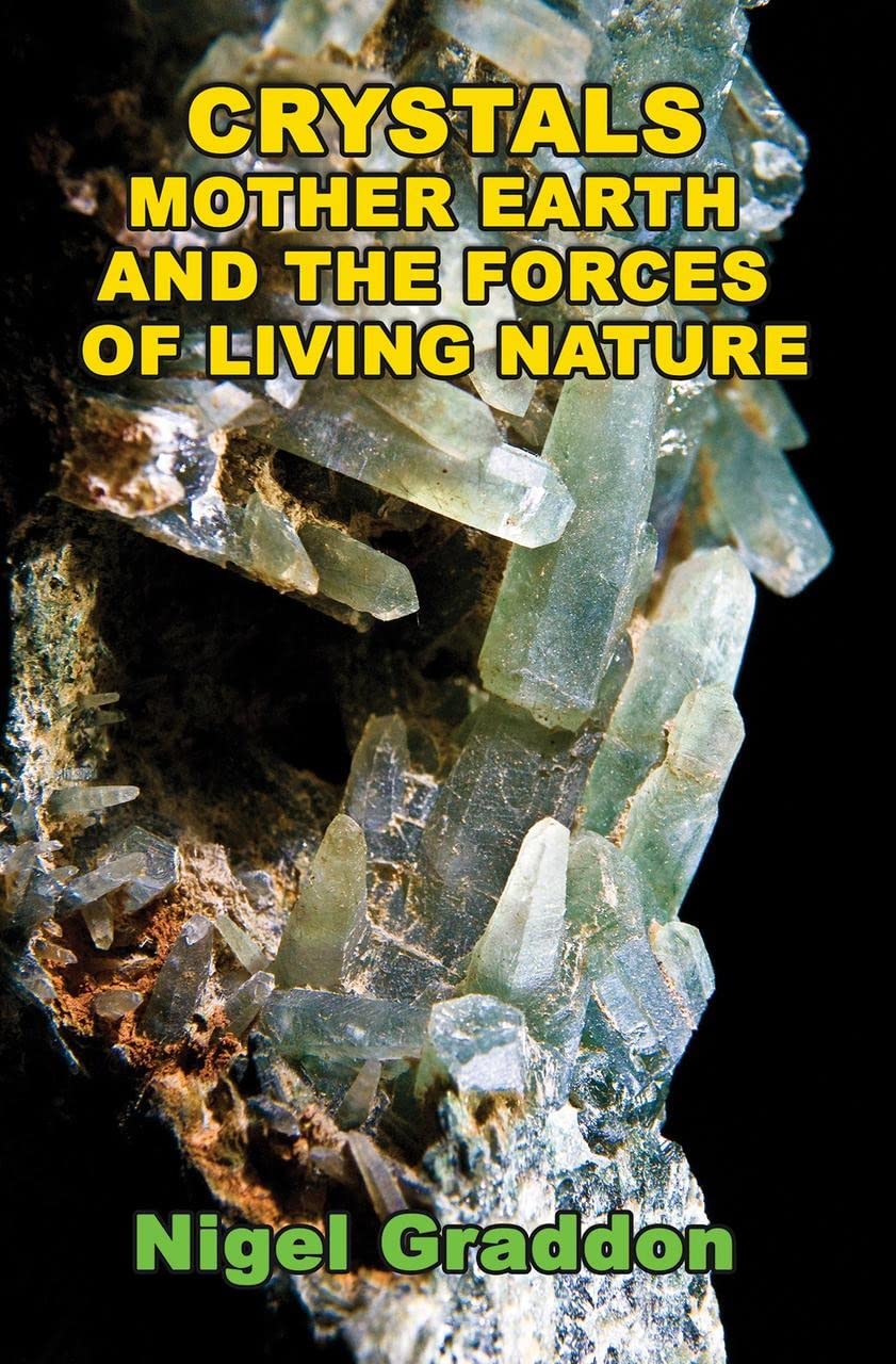 capítulo por capítulo baixar Crystals, Mother Earth and the Forces of Living Nature