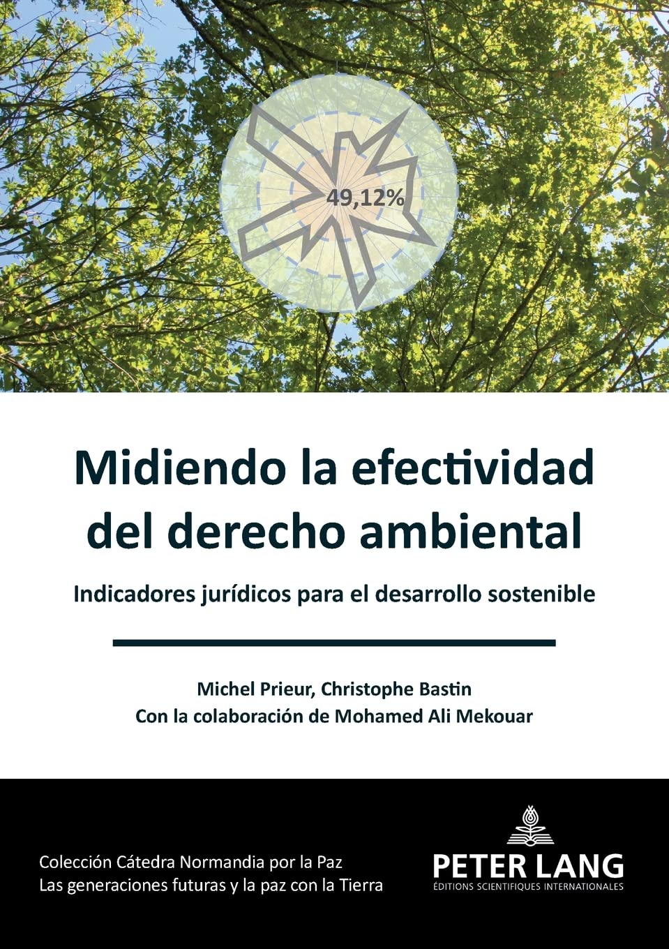 Midiendo la efectividad del derecho ambiental: Indicadores jurídicos para el desarrollo sostenible: 4 baixar livro de graça