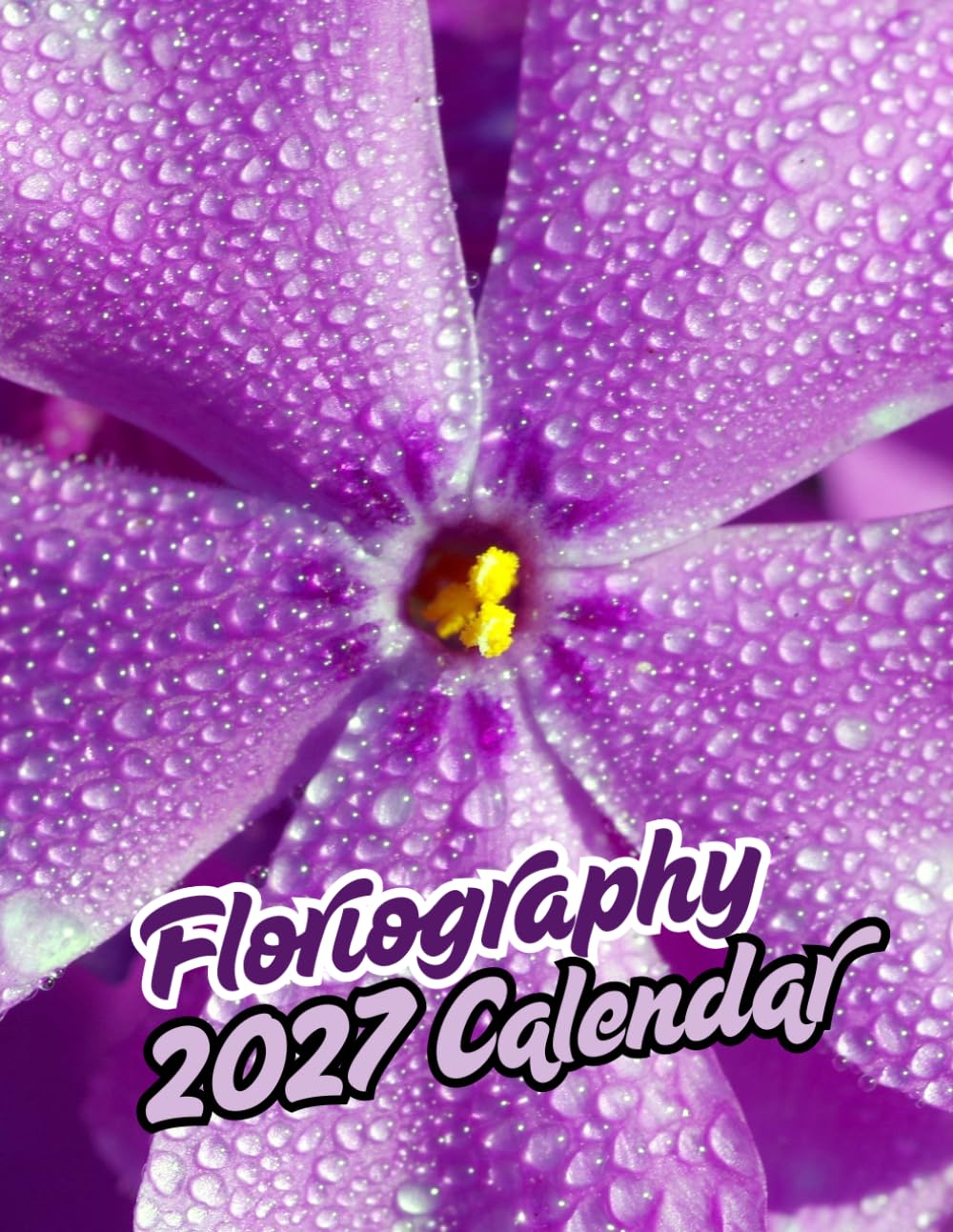 Floriography 2027 Calenda r: A Year of Beautiful Flowers | September 2026 – December 2027 baixar livro de graça
