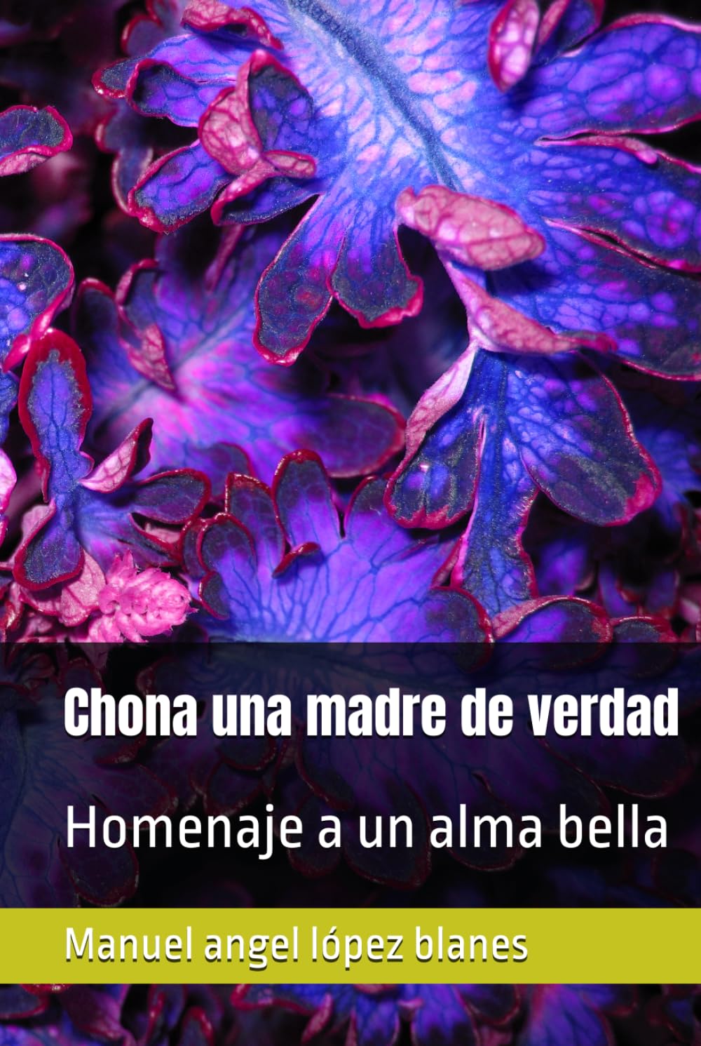 Chona una madre de verdad: Homenaje a un alma bella (cronicas de la niebla) (Spanish Edition) baixar o livro de graça