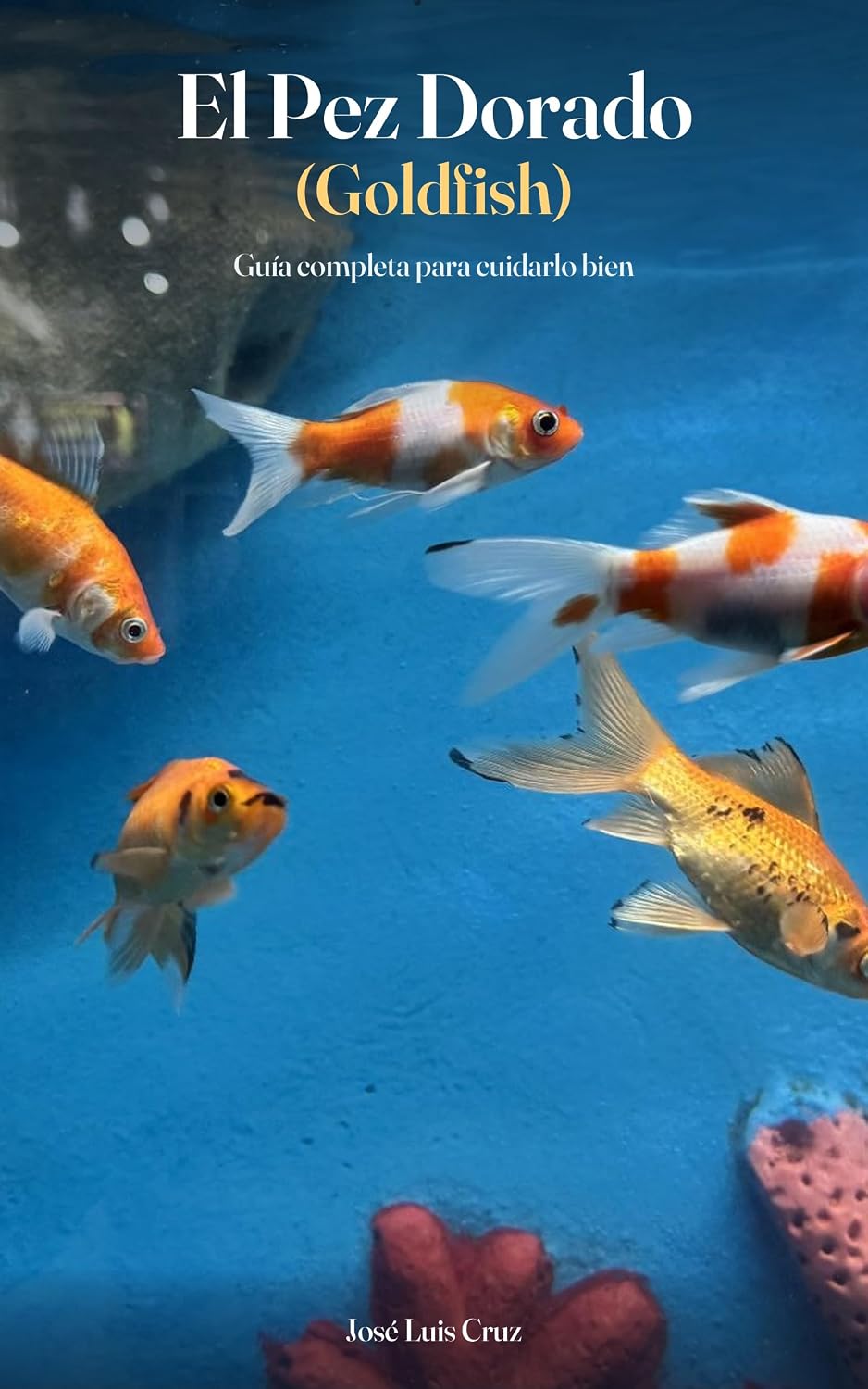 El Pez Dorado (Goldfish): Guía Completa para Cuidarlo Bien: Del mito del bol y la pecera pequeña al acuario o estanque real que necesita: tamaño, agua... comunes, con fo (Spanish Edition) baixar o livro de graça