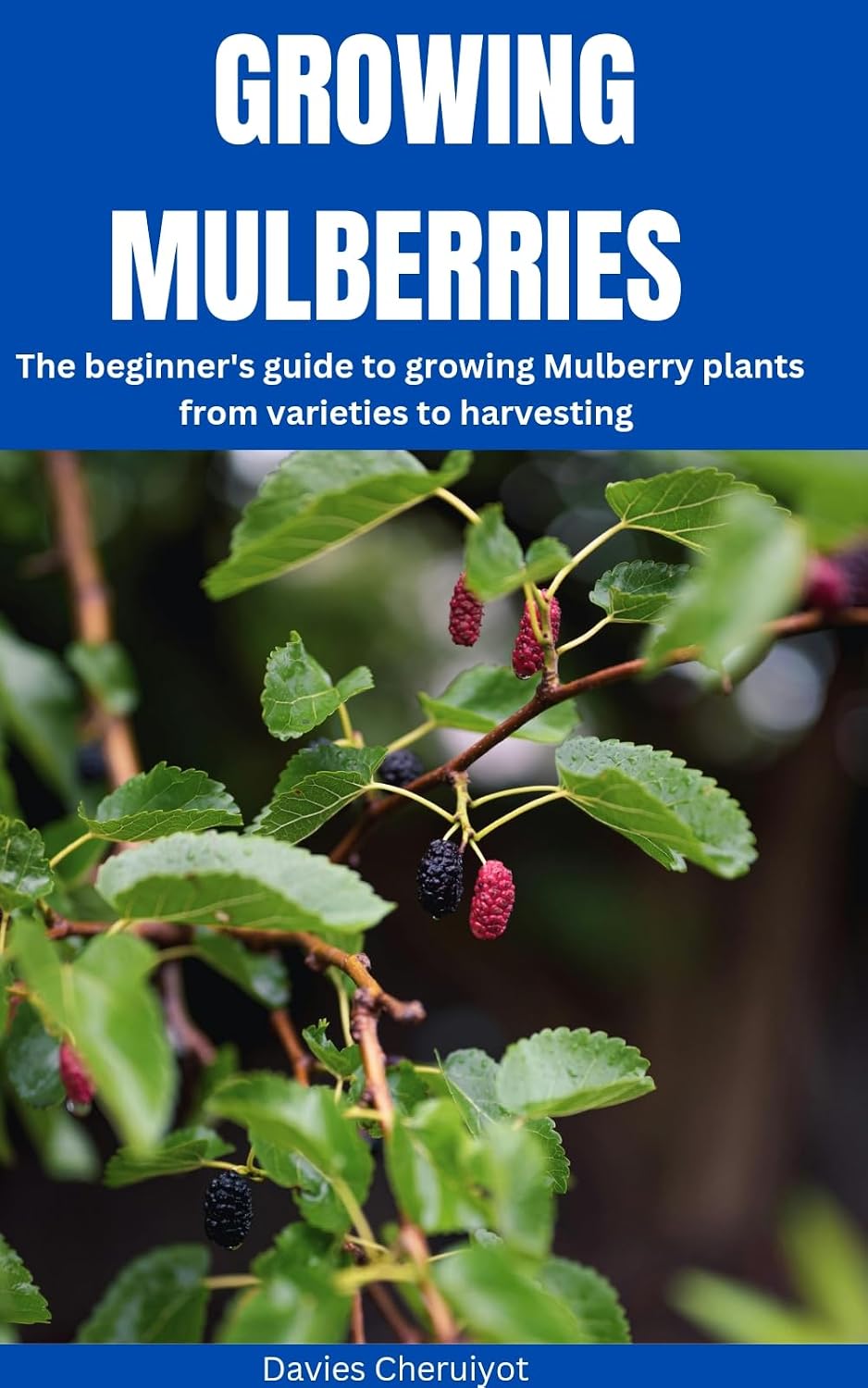 ler totalmente GROWING MULBERRIES: The beginner's guide to growing Mulberry plants from varieties to harvesting (Berries farming) (English Edition)