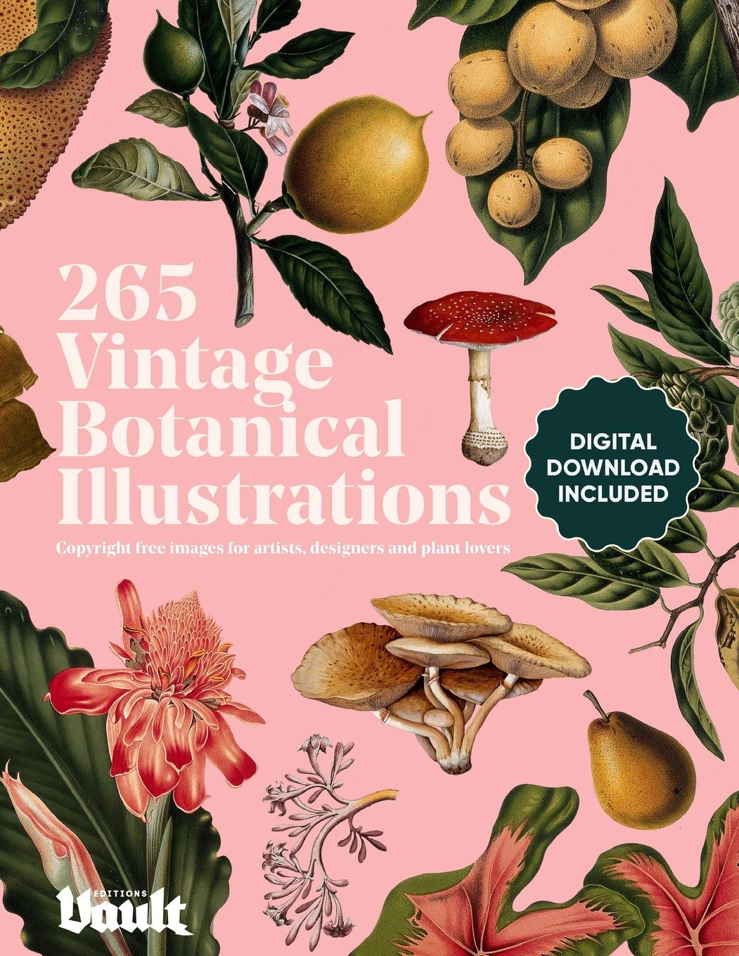 Vintage Botanical Illustration: Copyright-Free Images for Artists, Designers and Plant Lovers: 1